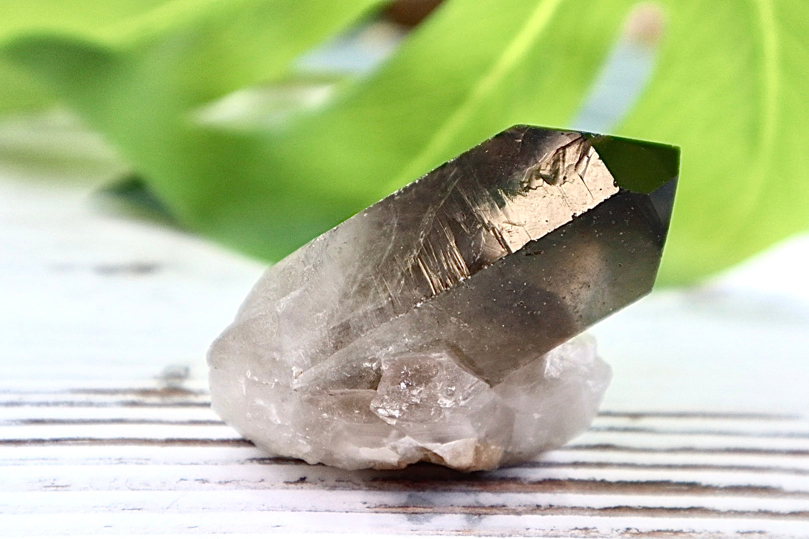 Smoky Quartz Cluster