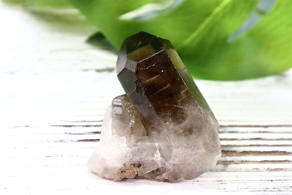 Smoky Quartz Cluster