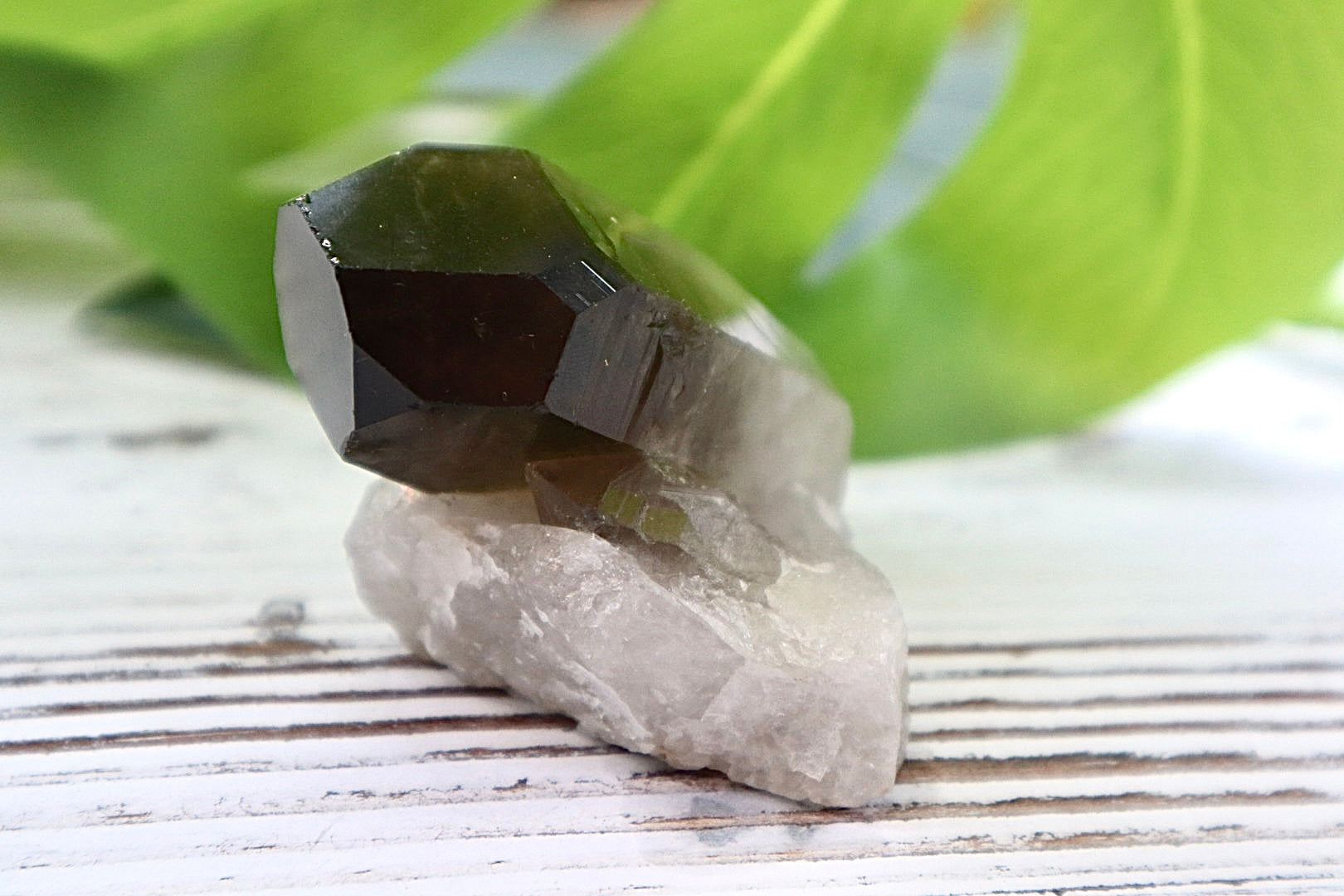 Smoky Quartz Cluster