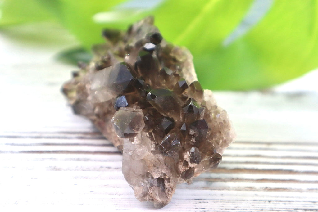 Smoky Quartz Cluster