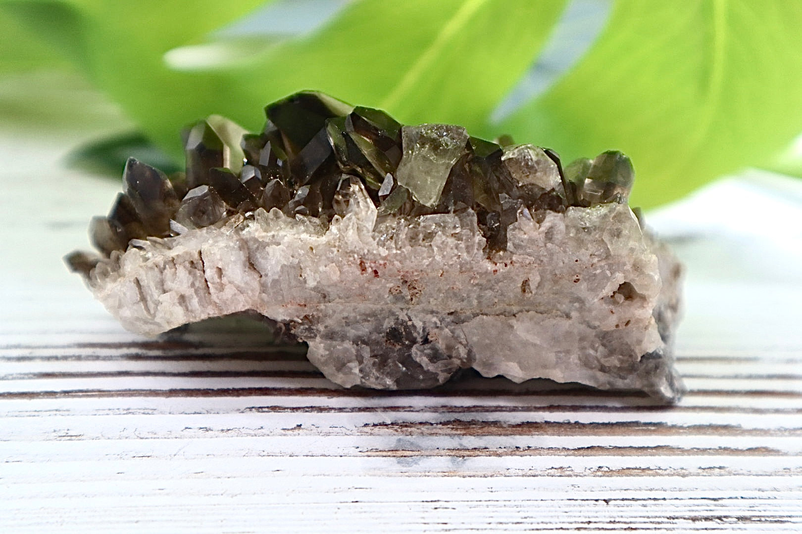Smoky Quartz Cluster