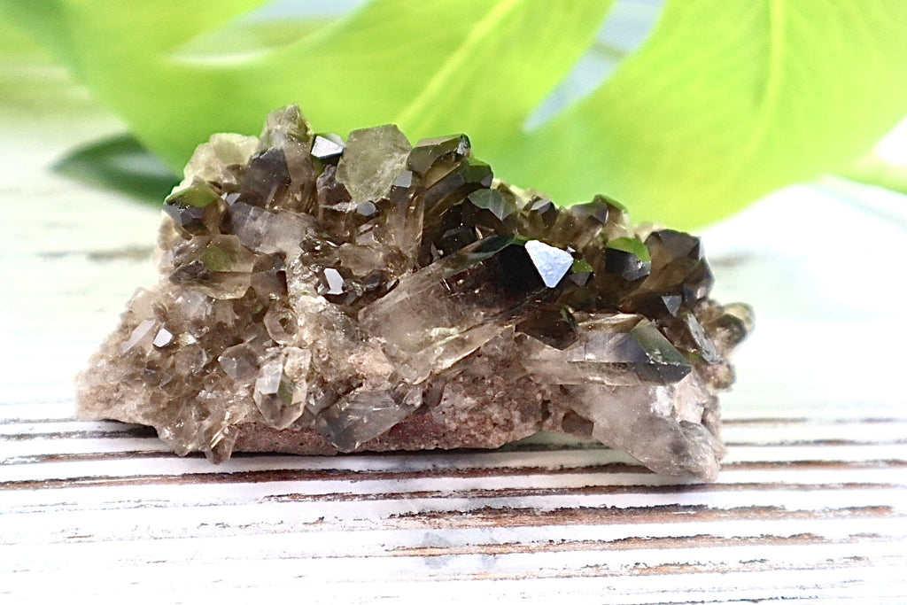 Smoky Quartz Cluster
