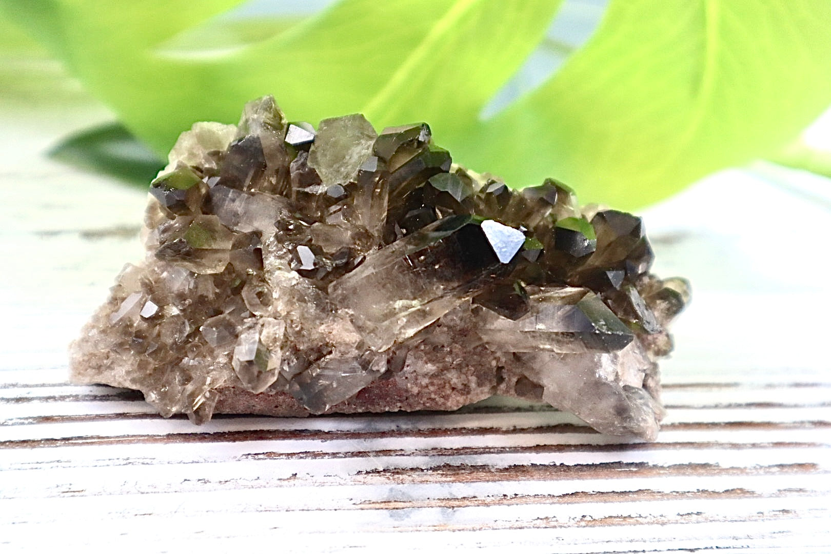Smoky Quartz Cluster