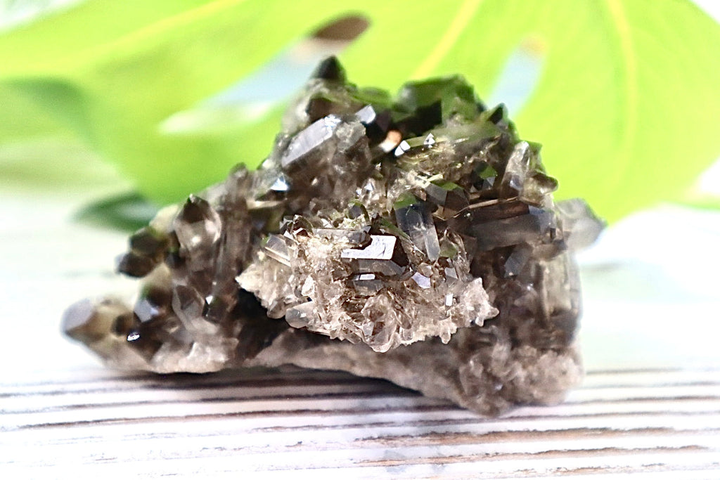 Smoky Quartz Cluster