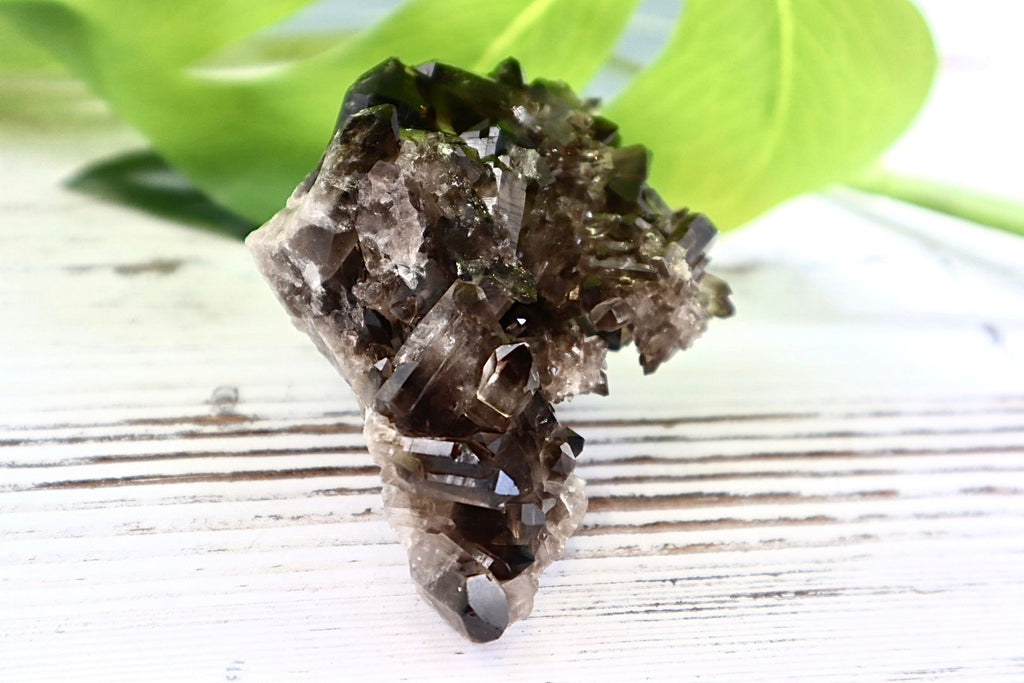 Smoky Quartz Cluster