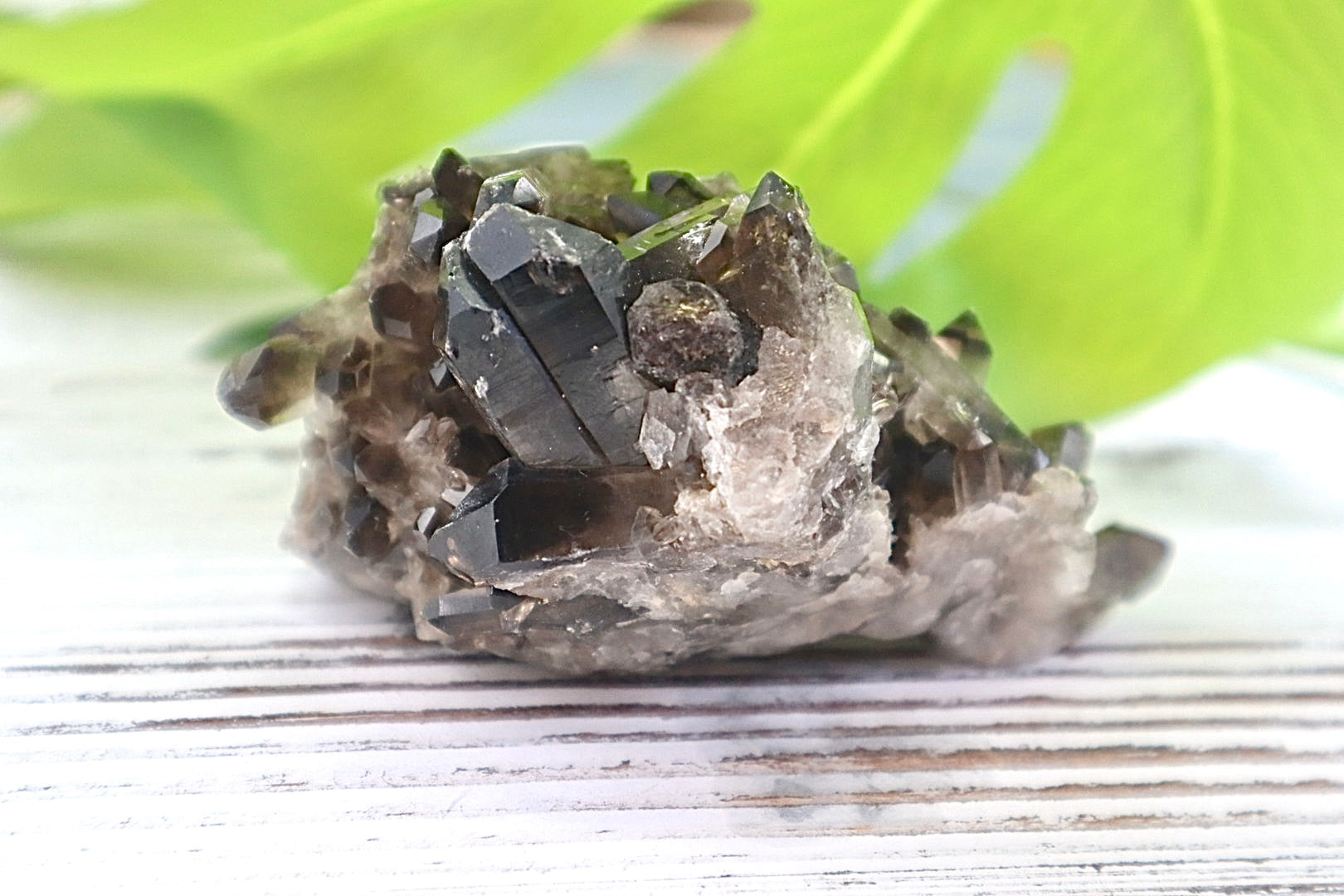 Smoky Quartz Cluster