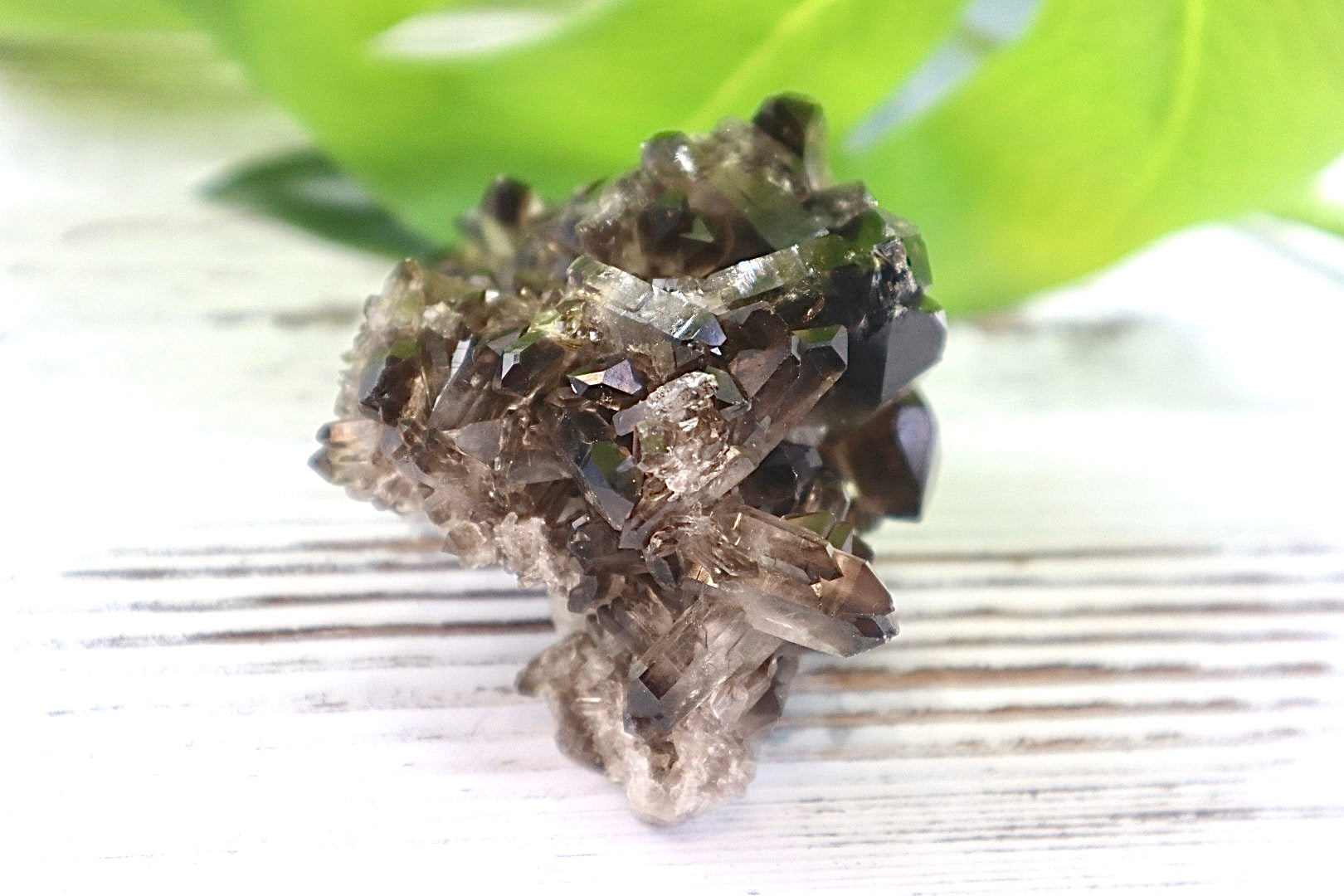 Smoky Quartz Cluster
