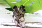 Smoky Quartz Cluster