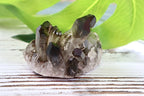 Smoky Quartz Cluster