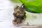Smoky Quartz Cluster