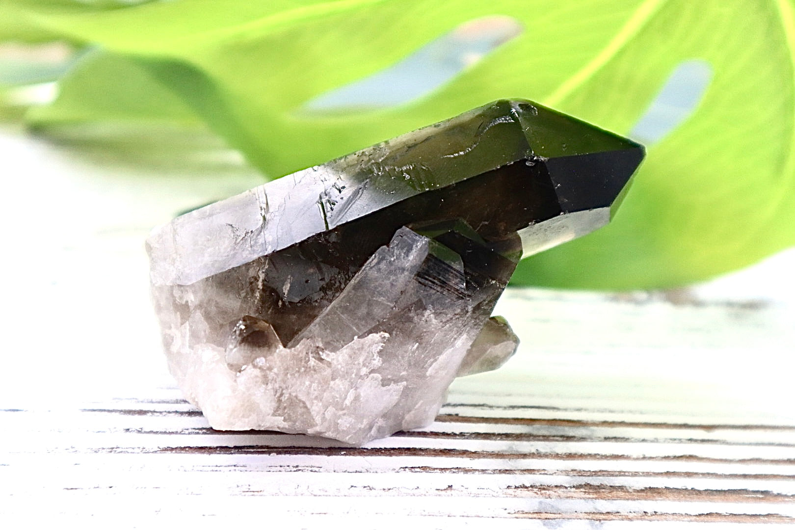 Smoky Quartz Cluster