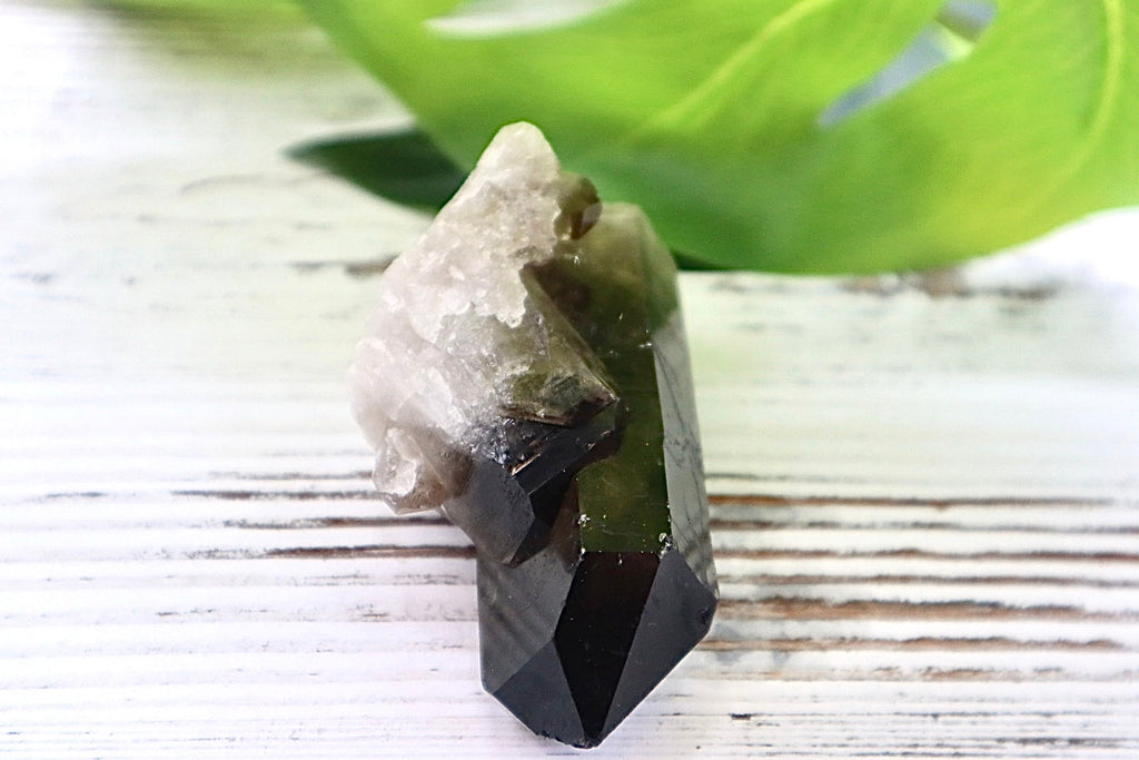 Smoky Quartz Cluster