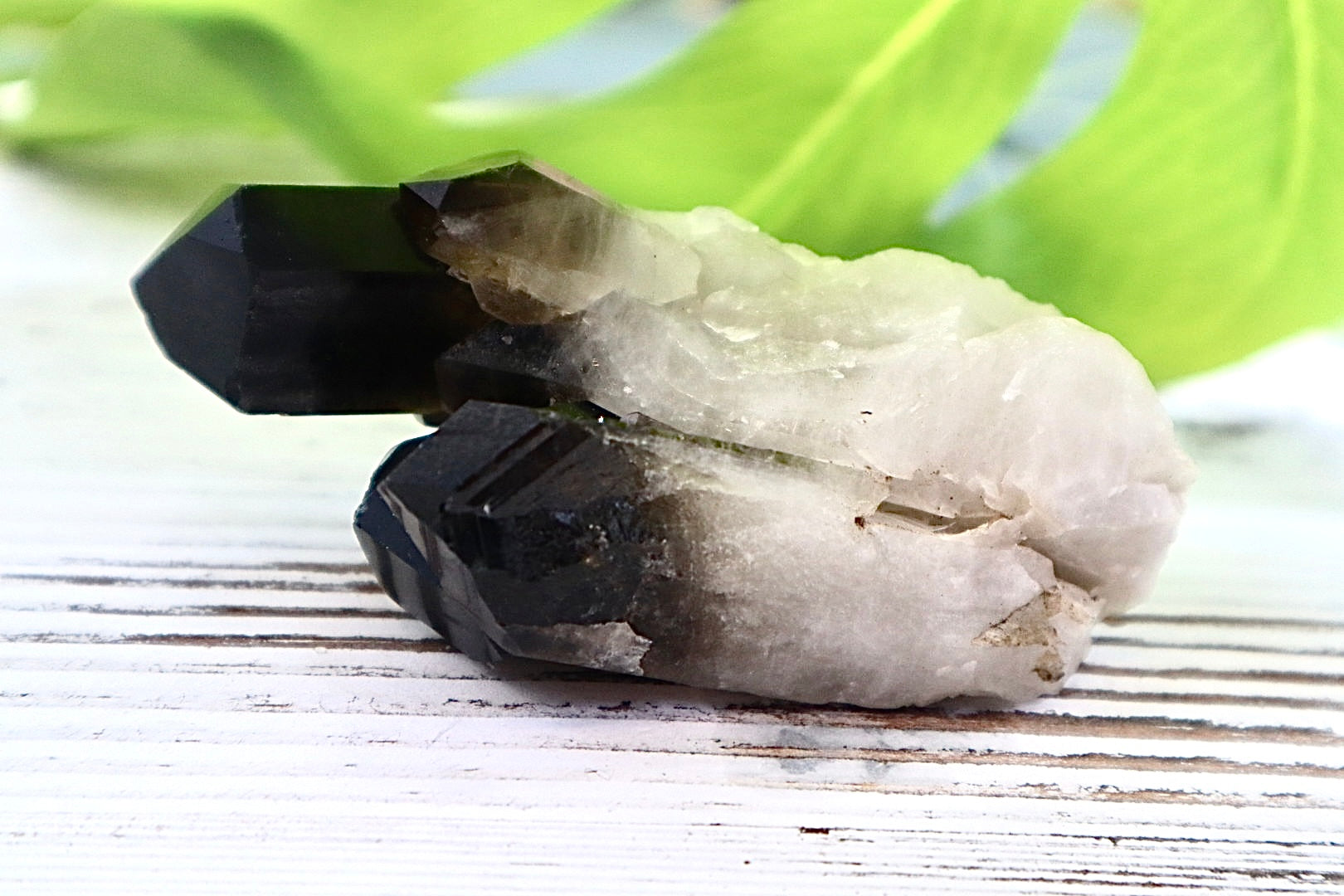 Smoky Quartz Cluster