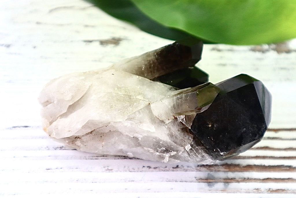 Smoky Quartz Cluster