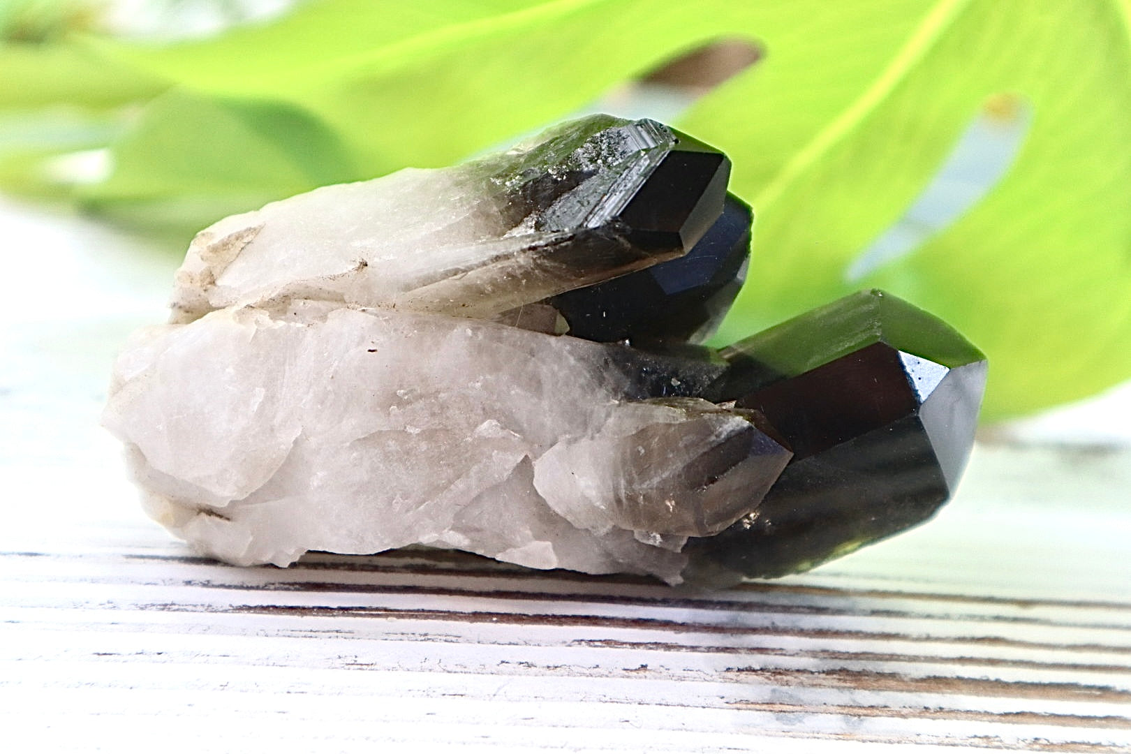 Smoky Quartz Cluster