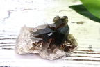 Smoky Quartz Cluster