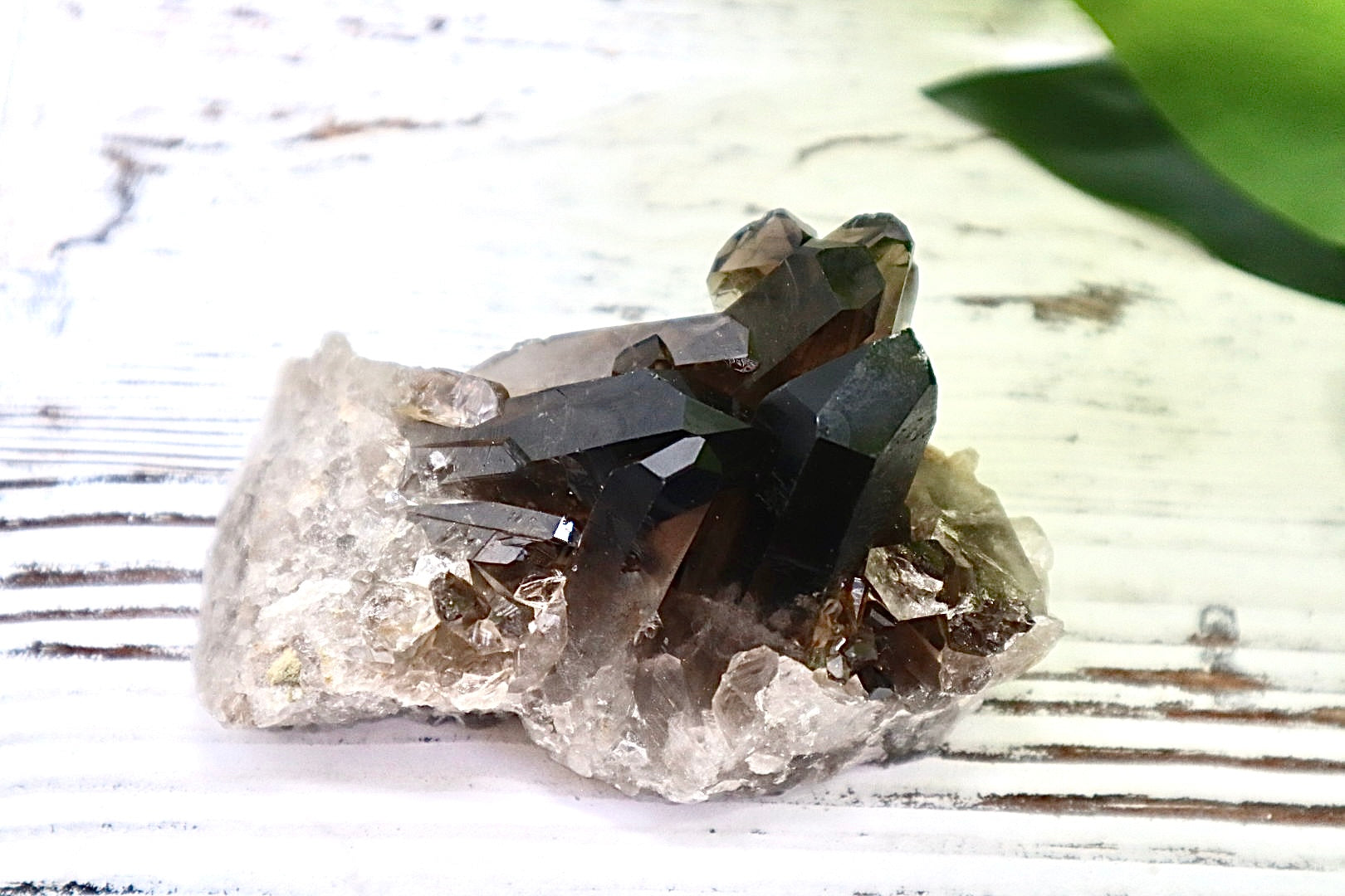 Smoky Quartz Cluster