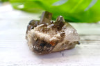 Smoky Quartz Cluster