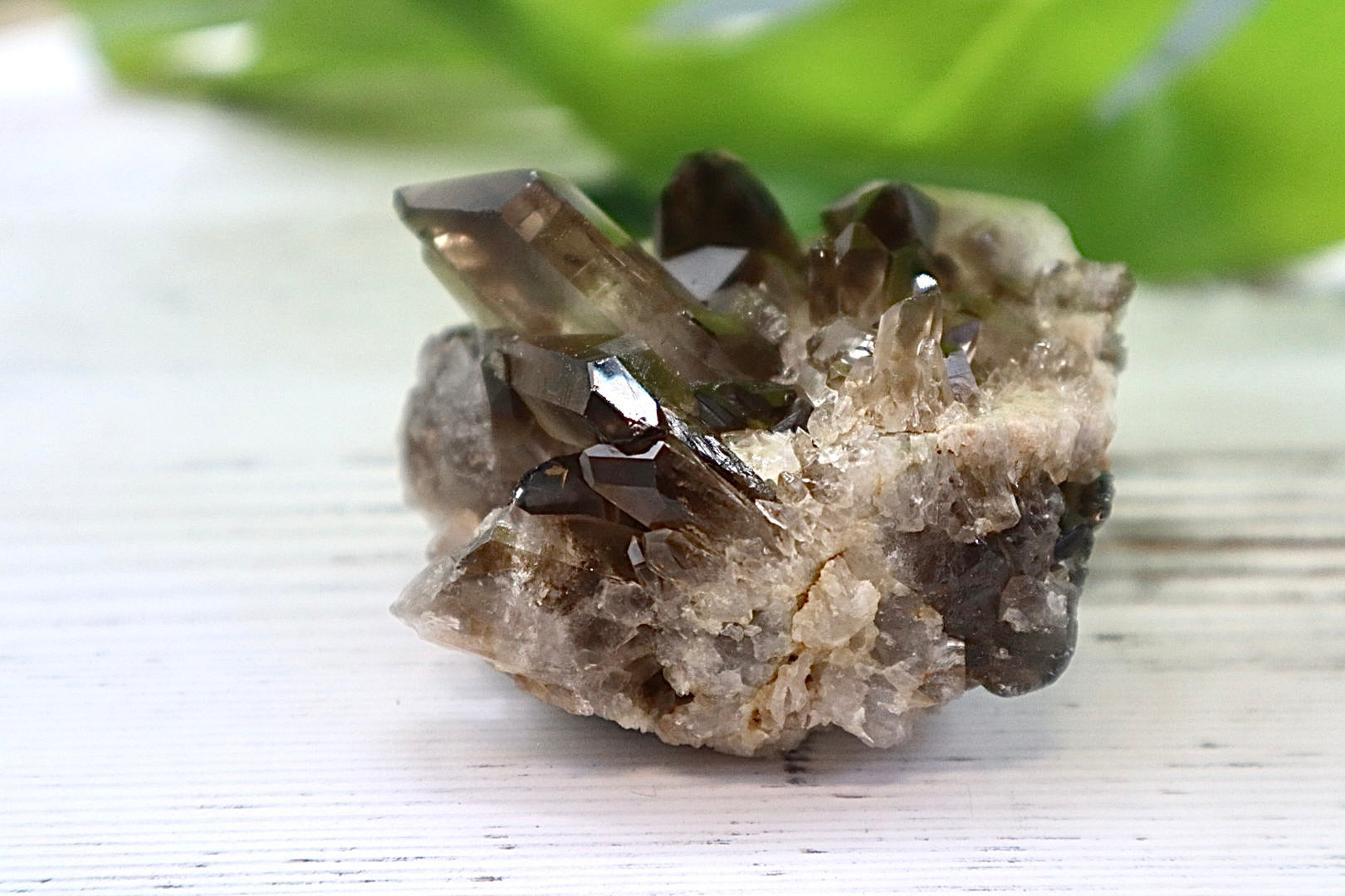 Smoky Quartz Cluster