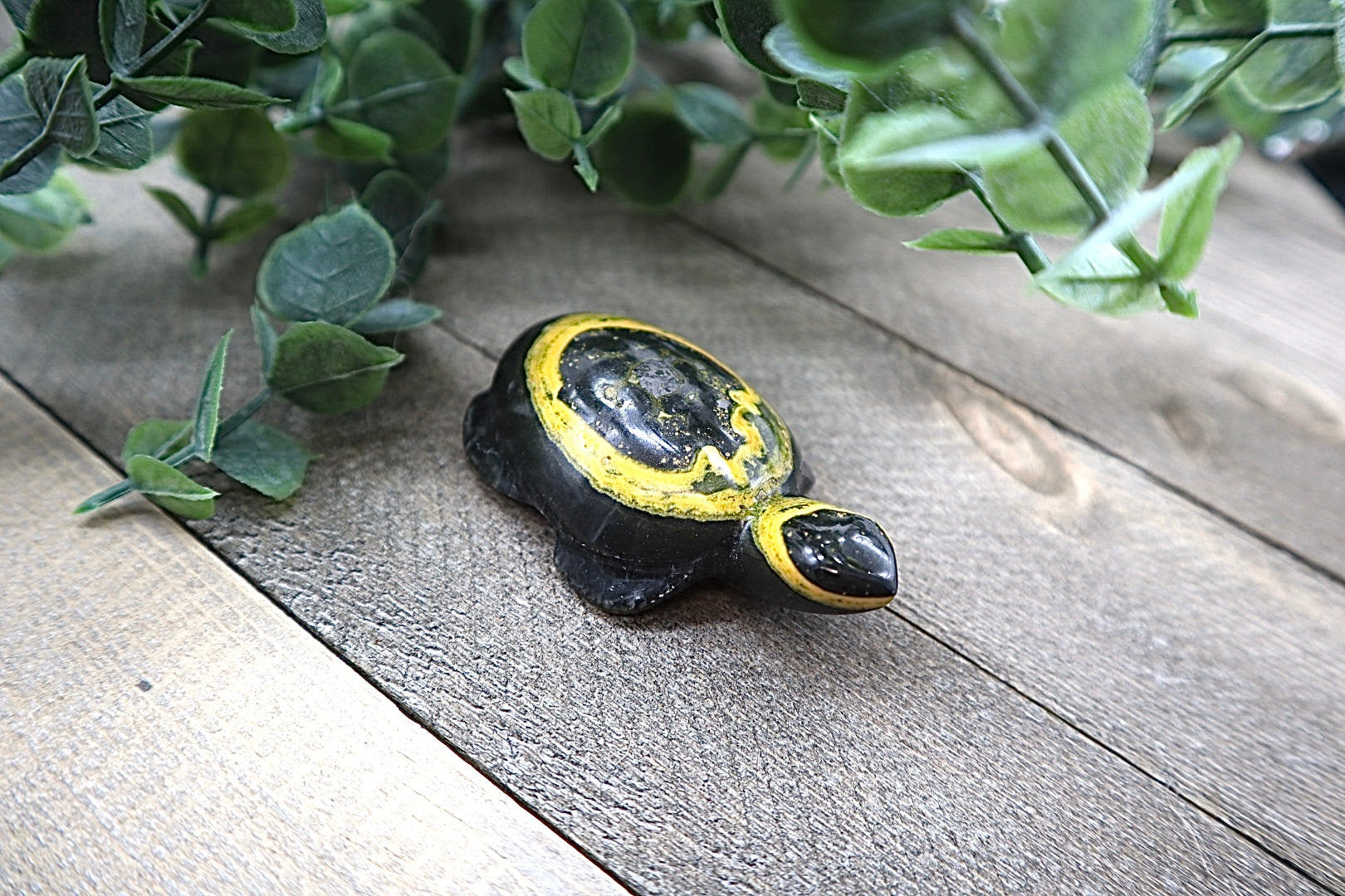 Bumble Bee Jasper Turtle