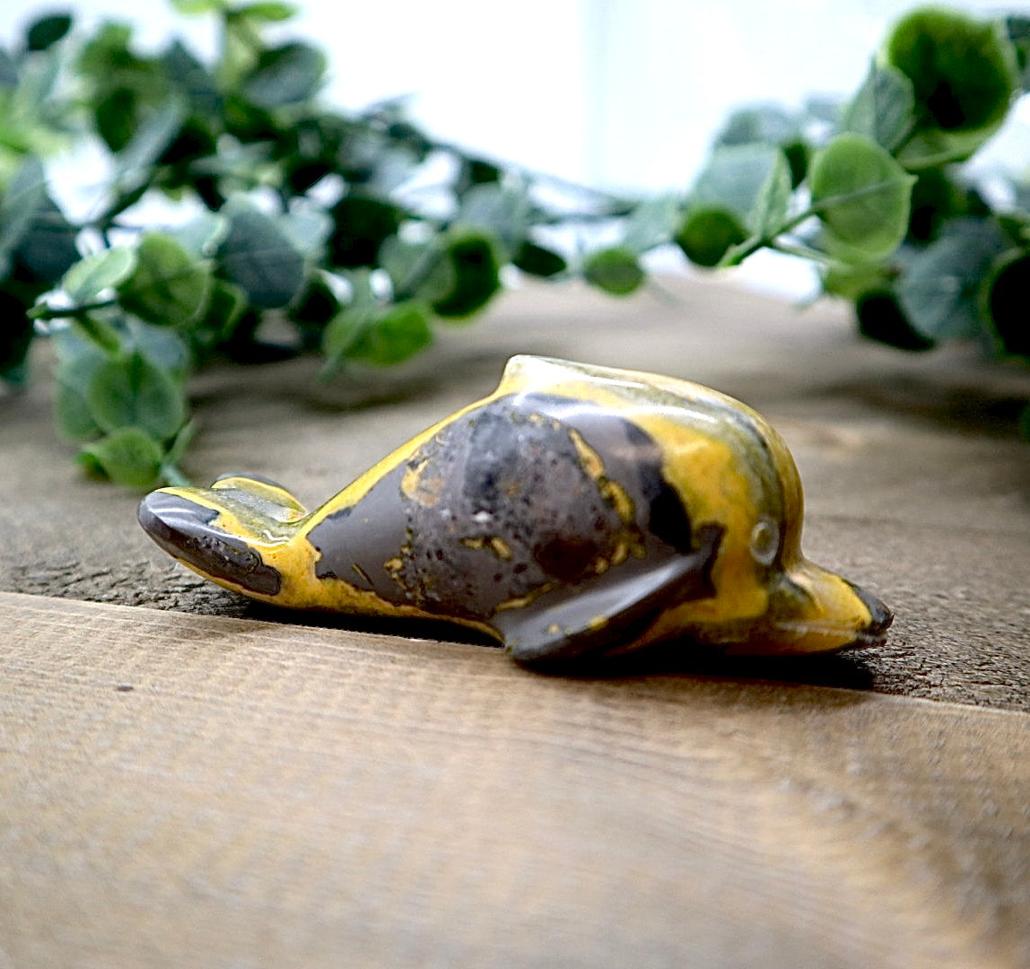 Bumble Bee Jasper Dolphin