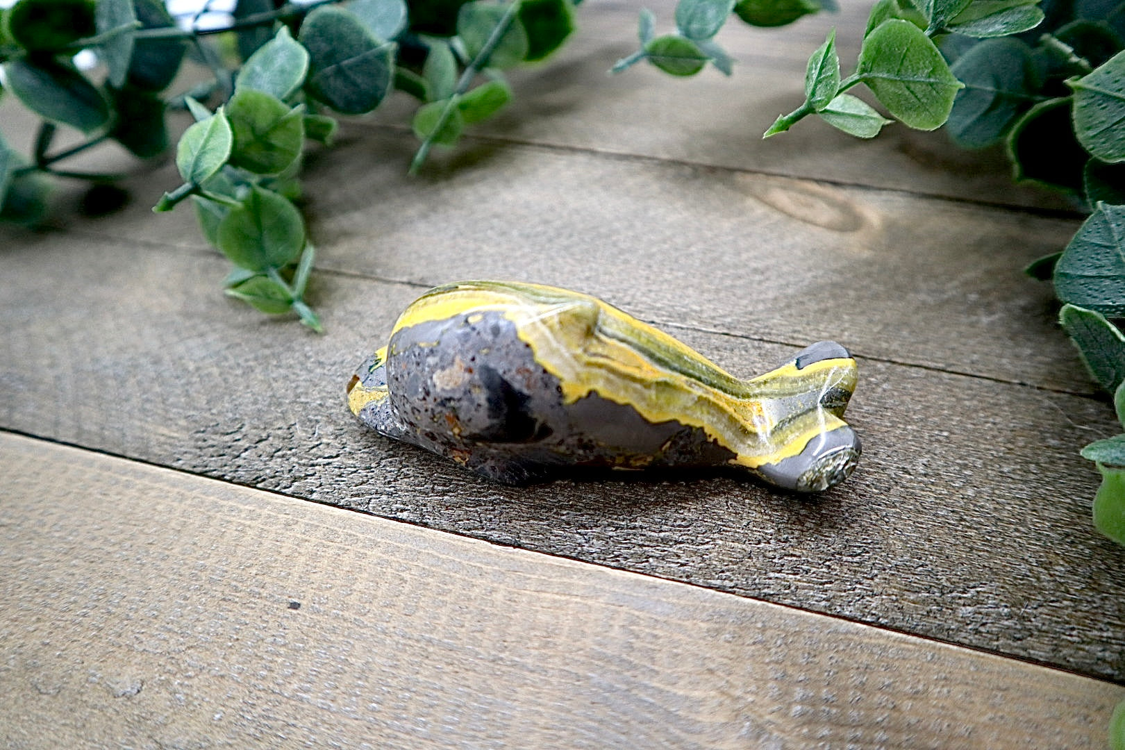 Bumble Bee Jasper Dolphin