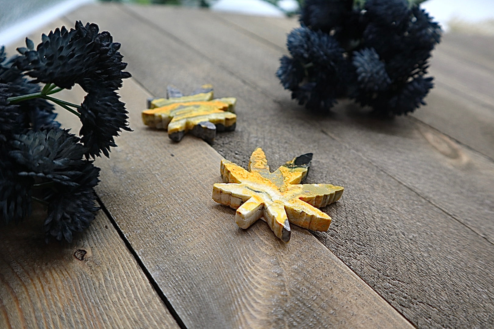 Bumblebee Jasper Mary Jane Flower