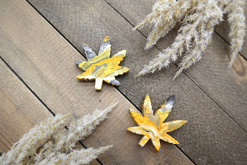 Bumblebee Jasper Mary Jane Flower