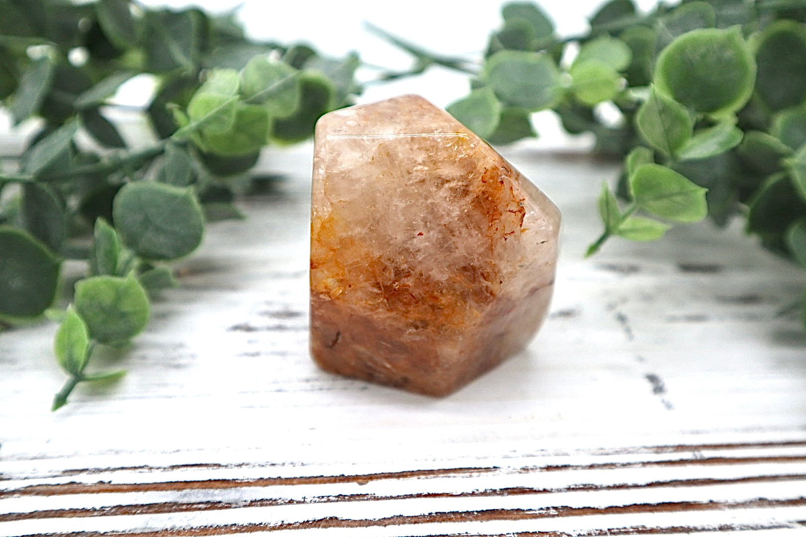 Golden Healer Free Form