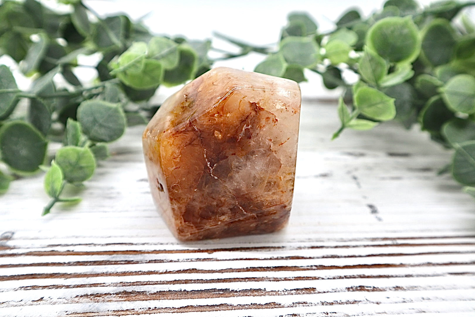 Golden Healer Free Form