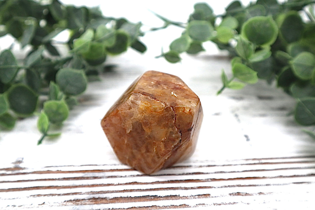 Golden Healer Free Form