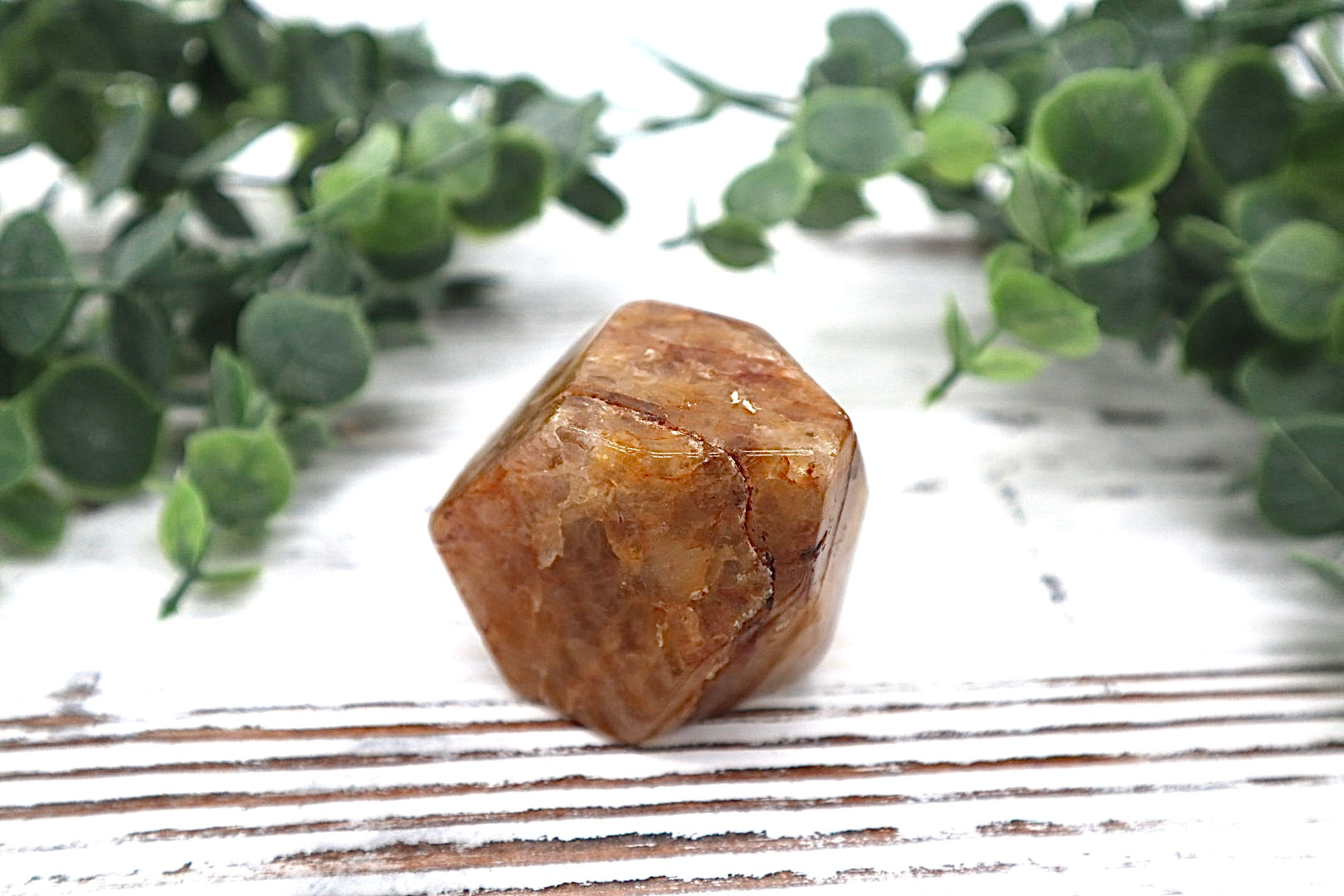 Golden Healer Free Form