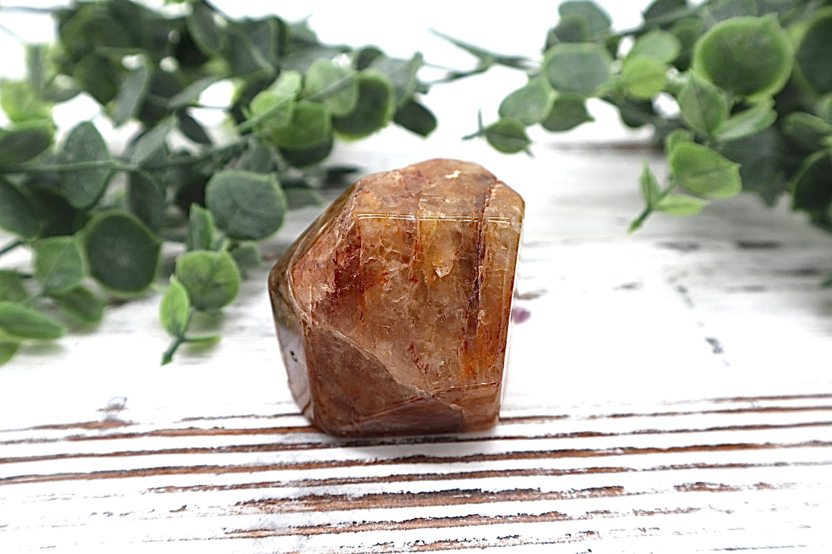 Golden Healer Free Form