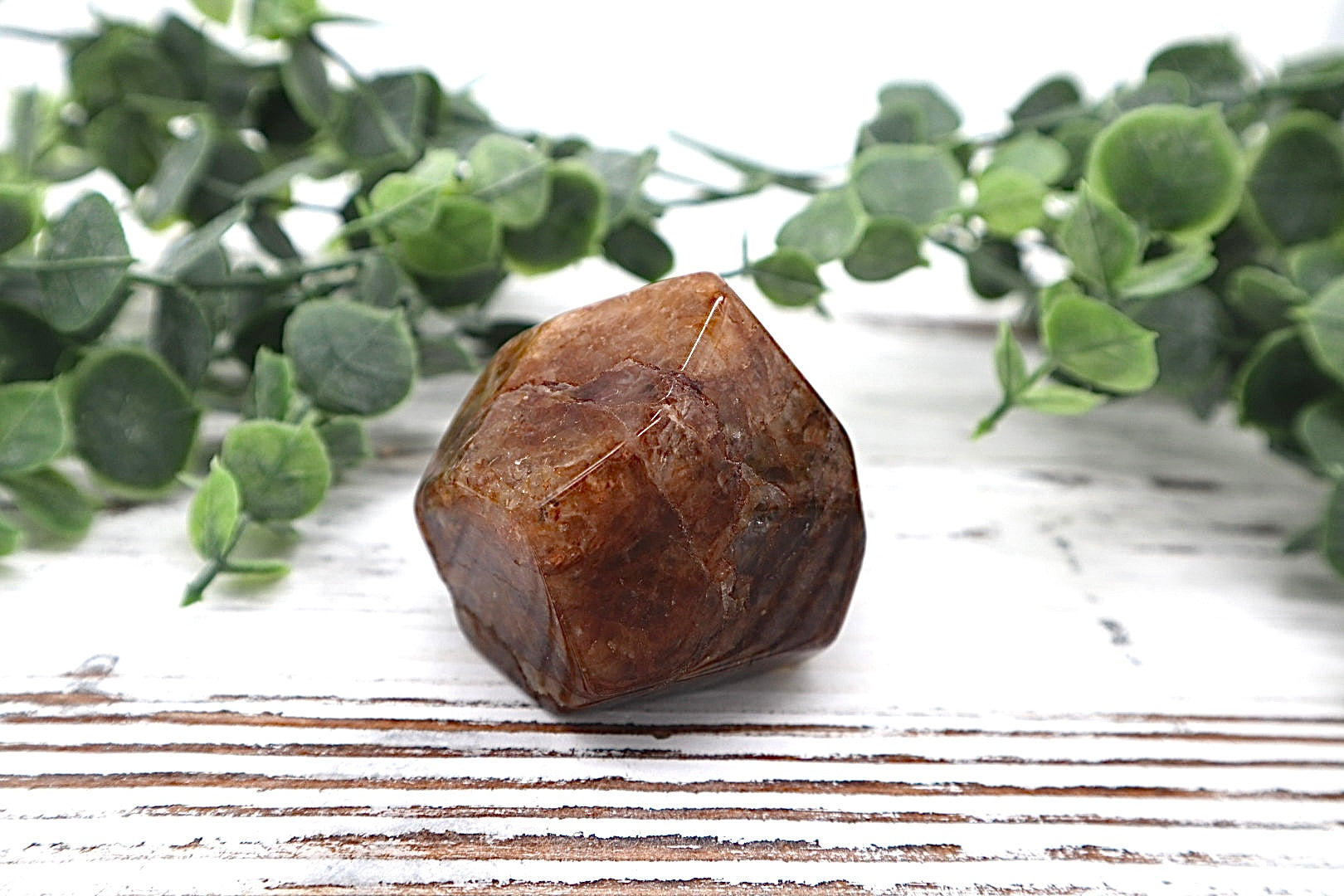 Golden Healer Free Form