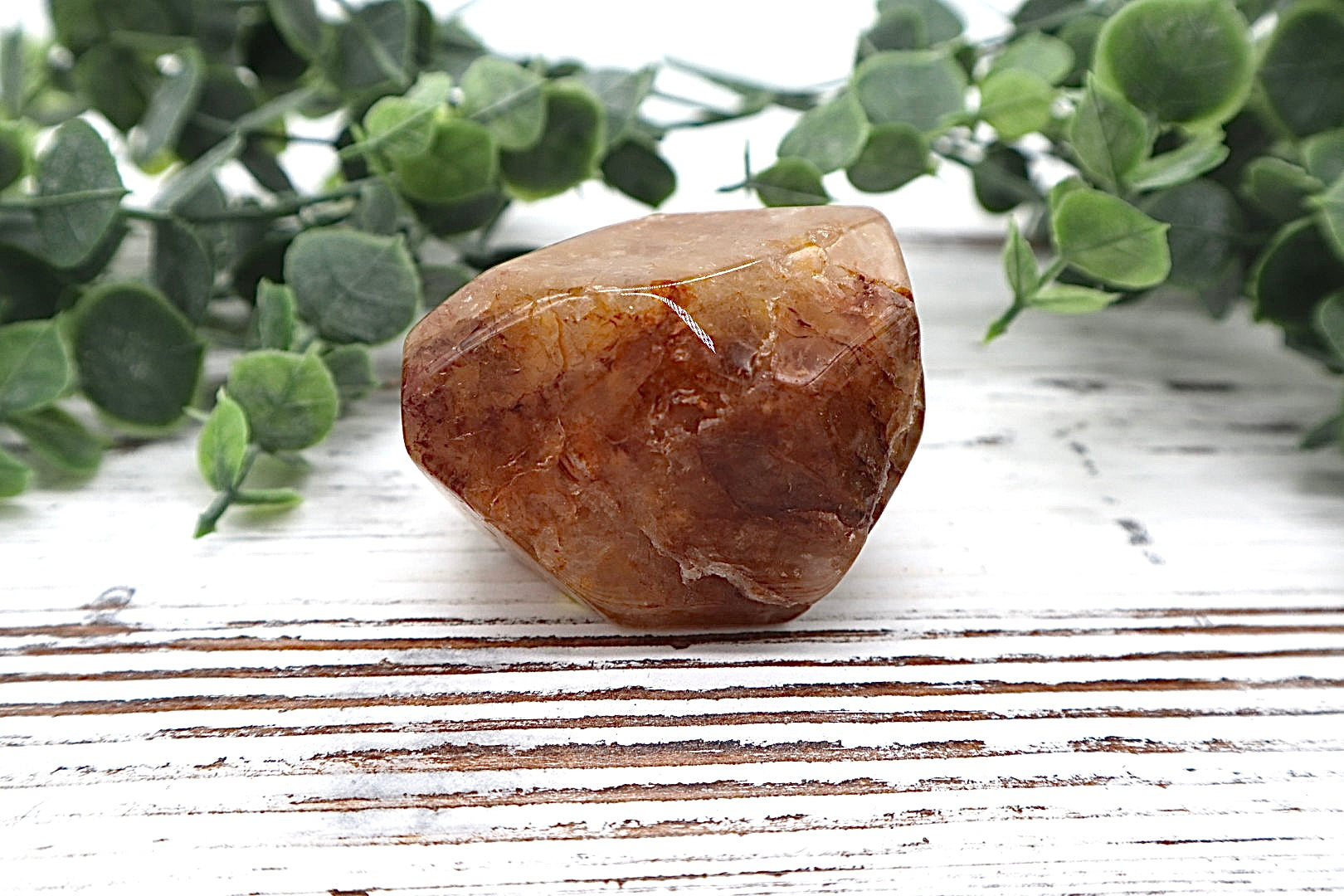 Golden Healer Free Form