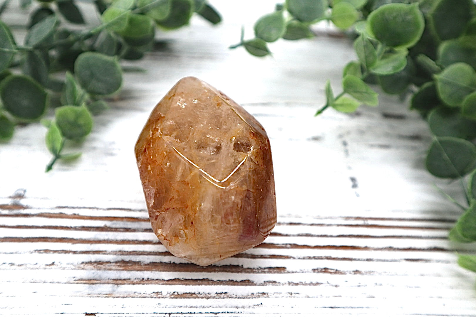 Golden Healer Free Form