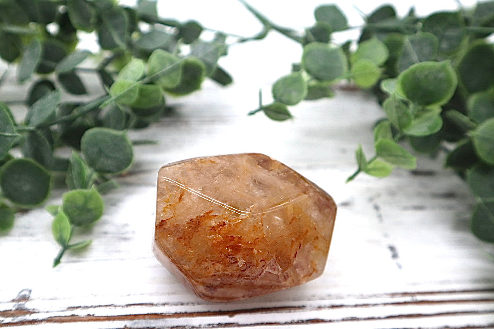 Golden Healer Free Form