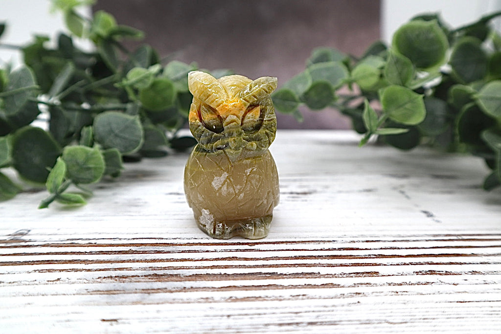 Bumble Bee Jasper Owl