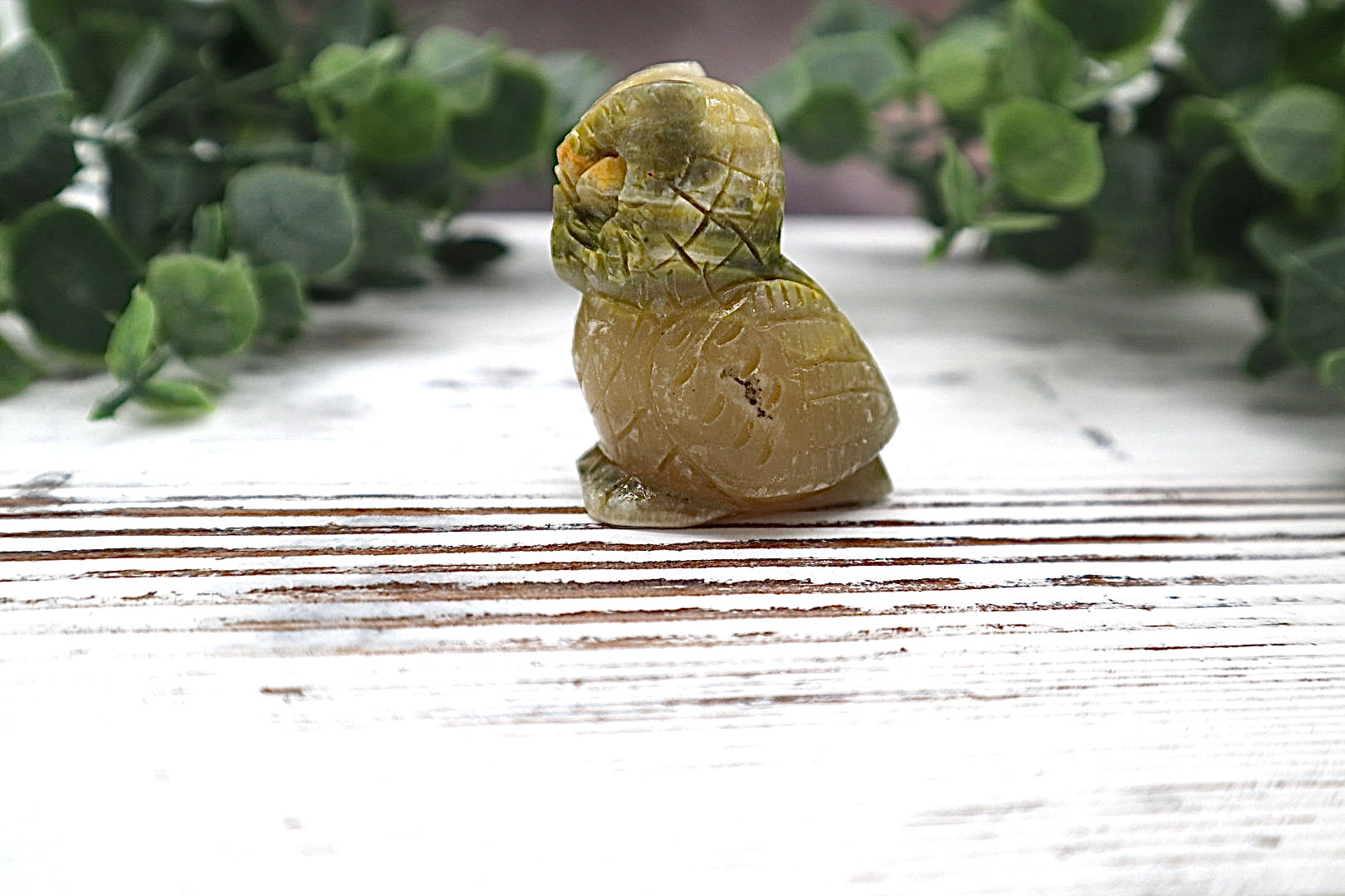 Bumble Bee Jasper Owl