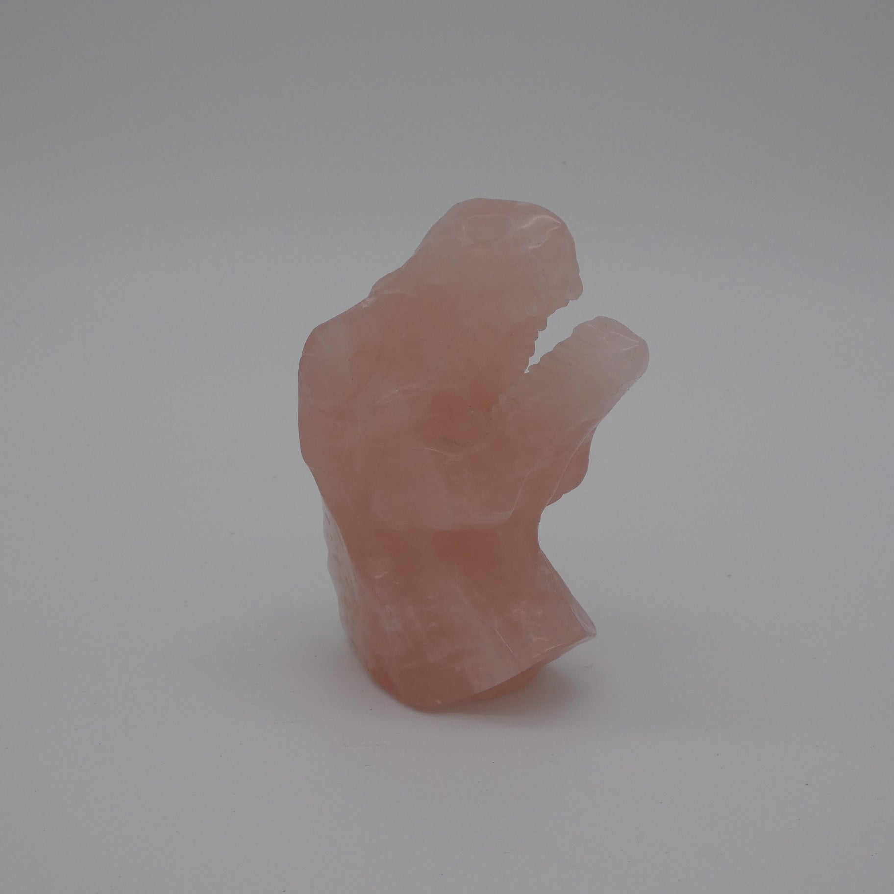 Rose Quartz T-Rex
