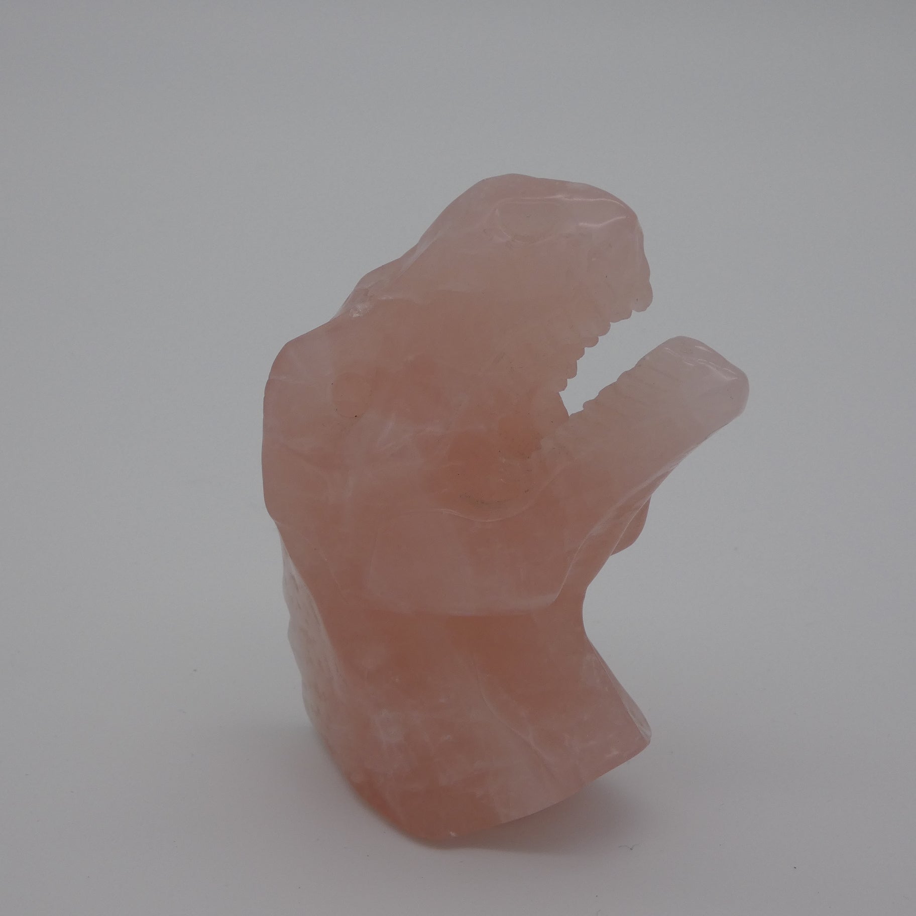 Rose Quartz T-Rex
