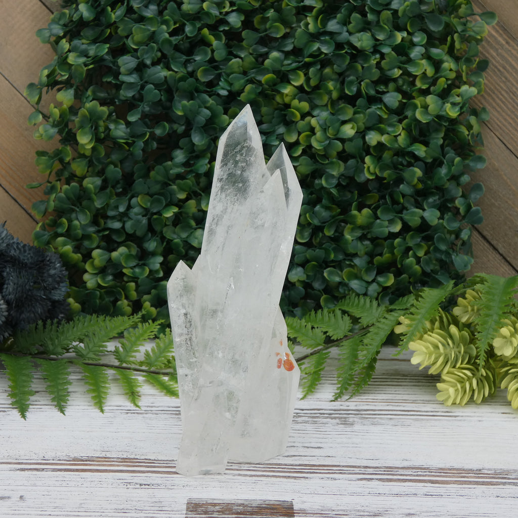 Clear Quartz Cluster