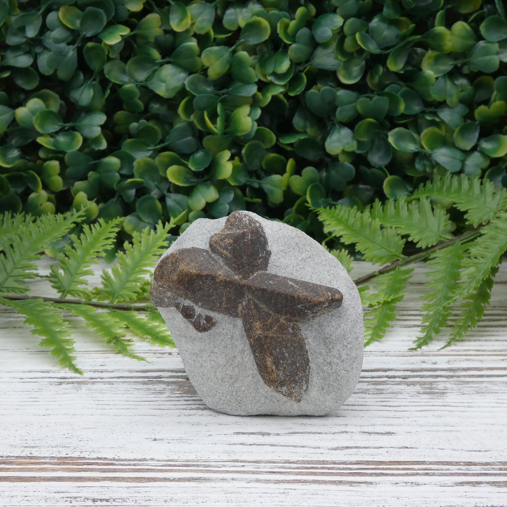 Staurolite (Fairy Stone)