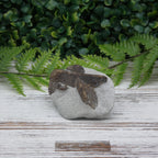 Staurolite (Fairy Stone)