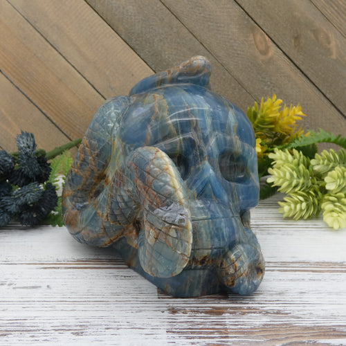 Blue Onyx Skull