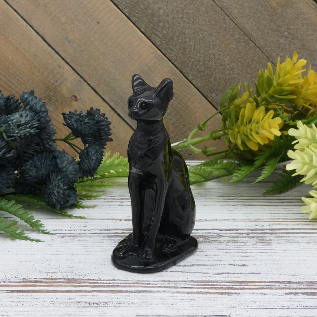 Obsidian Cat