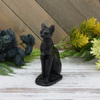 Obsidian Cat