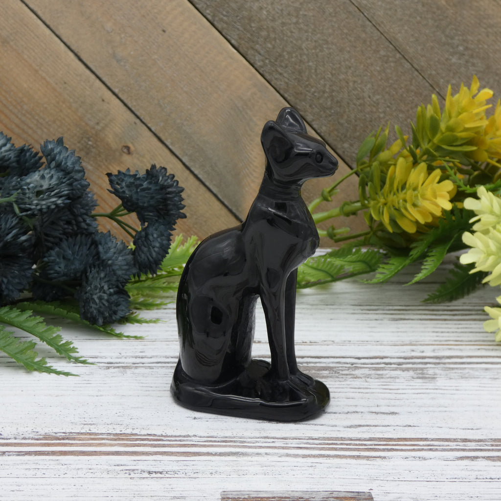 Obsidian Cat