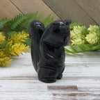 Obsidian Squirrel