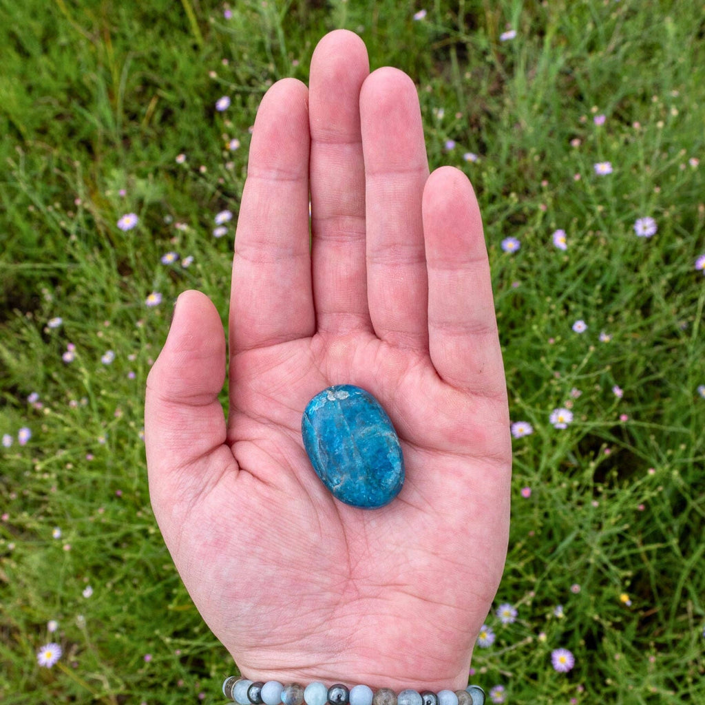Blue Apatite Palm Stone.
